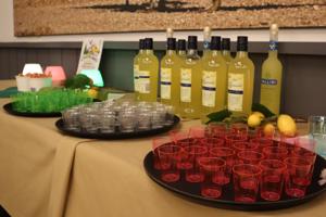 Camping Limone (111)